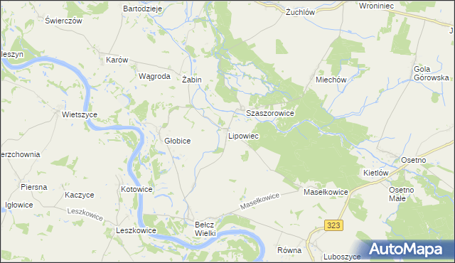 mapa Lipowiec gmina Niechlów, Lipowiec gmina Niechlów na mapie Targeo