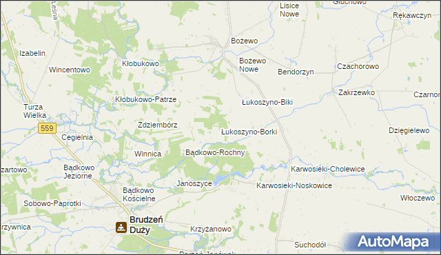 mapa Łukoszyno-Borki, Łukoszyno-Borki na mapie Targeo
