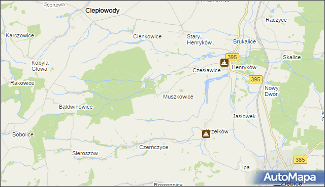 mapa Muszkowice, Muszkowice na mapie Targeo