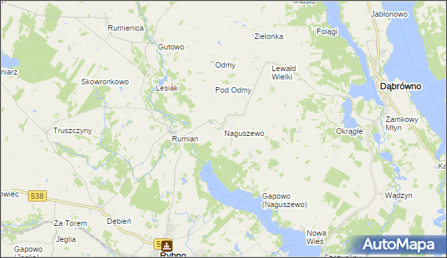 mapa Naguszewo, Naguszewo na mapie Targeo