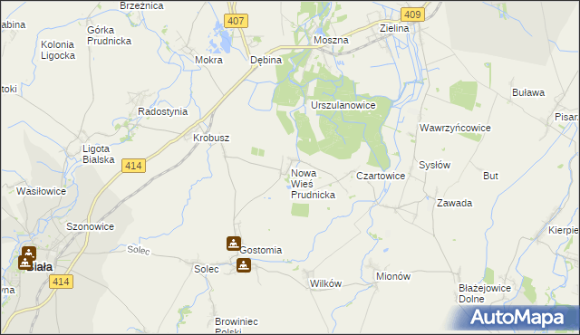 mapa Nowa Wieś Prudnicka, Nowa Wieś Prudnicka na mapie Targeo