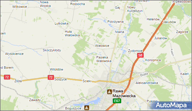 mapa Pasieka Wałowska, Pasieka Wałowska na mapie Targeo