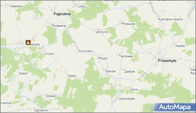 mapa Pliszki, Pliszki na mapie Targeo