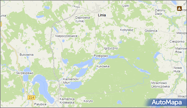 mapa Potęgowo gmina Linia, Potęgowo gmina Linia na mapie Targeo