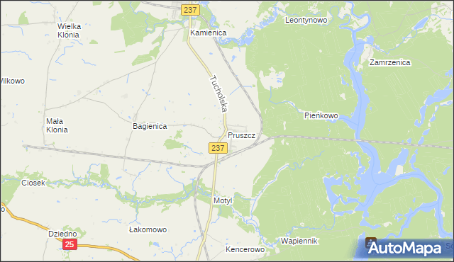 mapa Pruszcz gmina Gostycyn, Pruszcz gmina Gostycyn na mapie Targeo