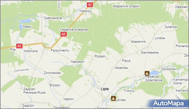 mapa Rozalin gmina Lipie, Rozalin gmina Lipie na mapie Targeo