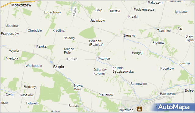 mapa Rożnica, Rożnica na mapie Targeo