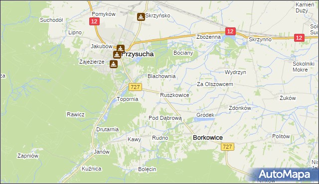 mapa Ruszkowice gmina Borkowice, Ruszkowice gmina Borkowice na mapie Targeo