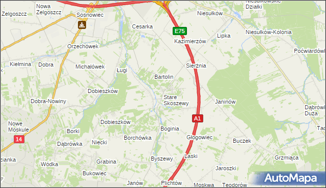 mapa Stare Skoszewy, Stare Skoszewy na mapie Targeo