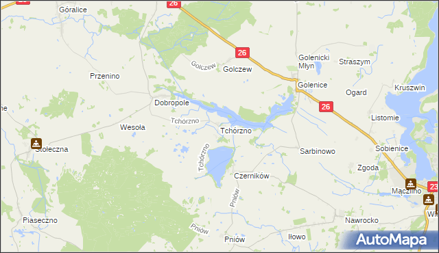 mapa Tchórzno, Tchórzno na mapie Targeo