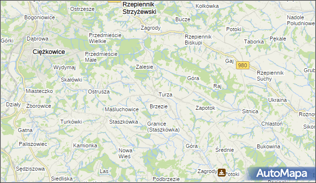 mapa Turza gmina Rzepiennik Strzyżewski, Turza gmina Rzepiennik Strzyżewski na mapie Targeo