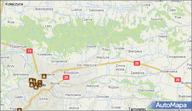 mapa Warzyce, Warzyce na mapie Targeo