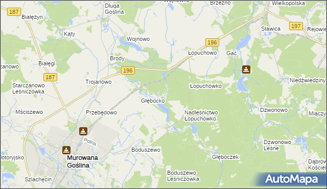 mapa Worowo gmina Murowana Goślina, Worowo gmina Murowana Goślina na mapie Targeo