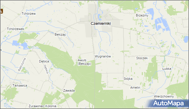 mapa Wygnanów gmina Czemierniki, Wygnanów gmina Czemierniki na mapie Targeo