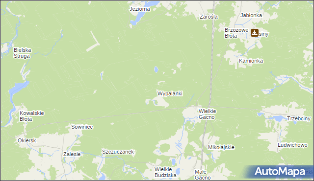 mapa Wypalanki gmina Śliwice, Wypalanki gmina Śliwice na mapie Targeo