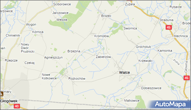 mapa Zabierzów gmina Walce, Zabierzów gmina Walce na mapie Targeo