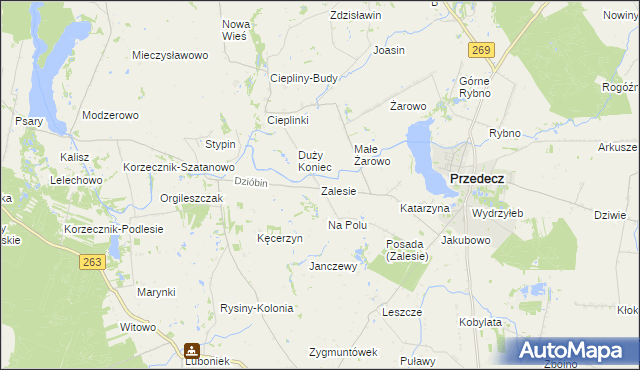mapa Zalesie gmina Przedecz, Zalesie gmina Przedecz na mapie Targeo