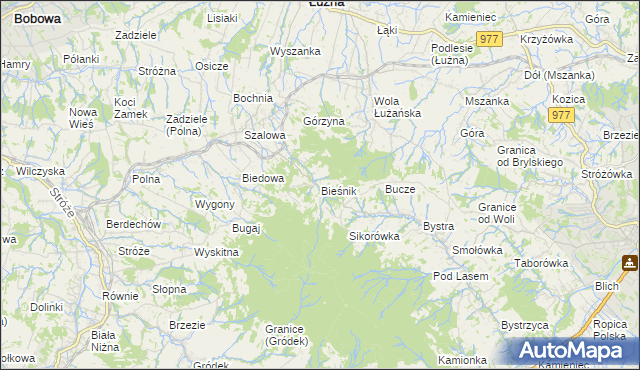 mapa Bieśnik gmina Łużna, Bieśnik gmina Łużna na mapie Targeo