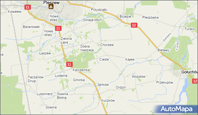 mapa Cieśle gmina Gołuchów, Cieśle gmina Gołuchów na mapie Targeo