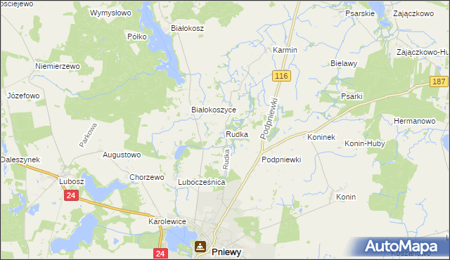 mapa Rudka gmina Pniewy, Rudka gmina Pniewy na mapie Targeo