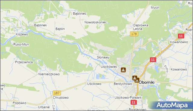 mapa Słonawy gmina Oborniki, Słonawy gmina Oborniki na mapie Targeo