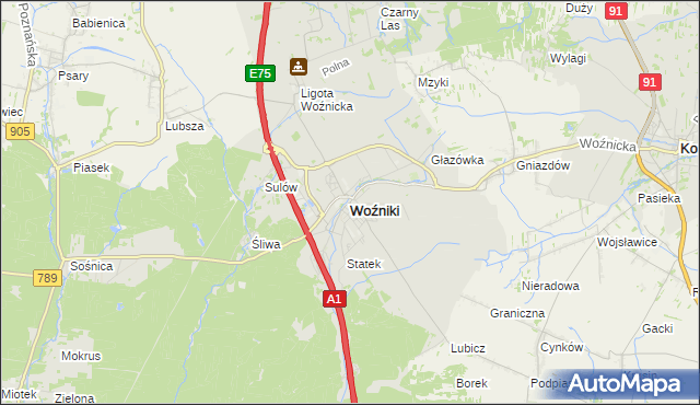 mapa Woźniki powiat lubliniecki, Woźniki powiat lubliniecki na mapie Targeo