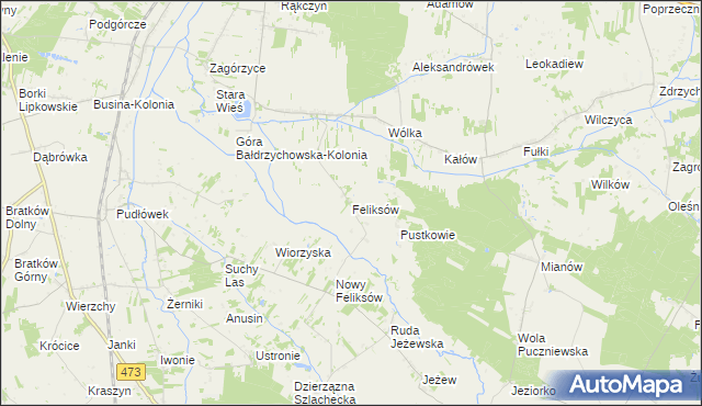 mapa Feliksów gmina Poddębice, Feliksów gmina Poddębice na mapie Targeo