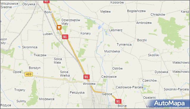 mapa Parzyce gmina Ozorków, Parzyce gmina Ozorków na mapie Targeo