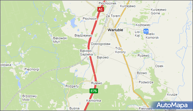 mapa Bąkowo gmina Warlubie, Bąkowo gmina Warlubie na mapie Targeo