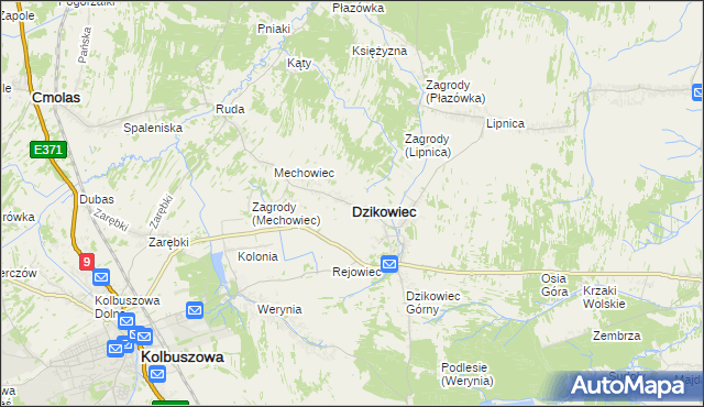 mapa Dzikowiec powiat kolbuszowski, Dzikowiec powiat kolbuszowski na mapie Targeo