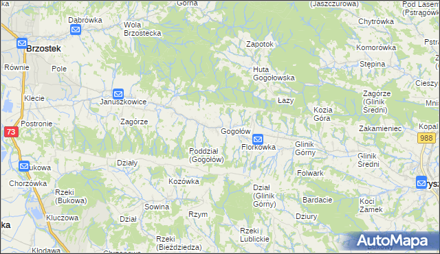 mapa Gogołów gmina Frysztak, Gogołów gmina Frysztak na mapie Targeo