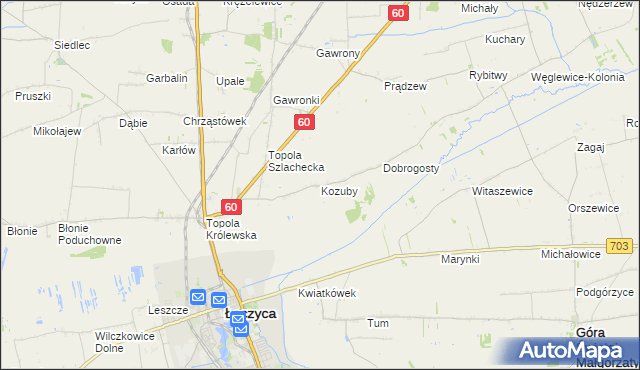 mapa Kozuby gmina Łęczyca, Kozuby gmina Łęczyca na mapie Targeo