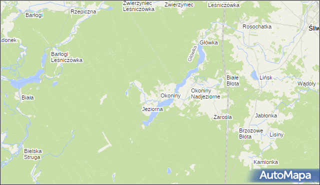 mapa Okoniny gmina Śliwice, Okoniny gmina Śliwice na mapie Targeo