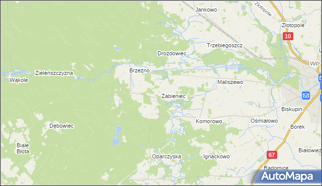 mapa Żabieniec gmina Lipno, Żabieniec gmina Lipno na mapie Targeo