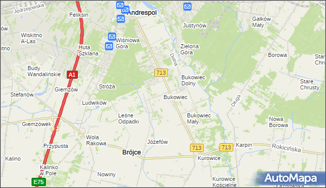 mapa Bukowiec gmina Brójce, Bukowiec gmina Brójce na mapie Targeo