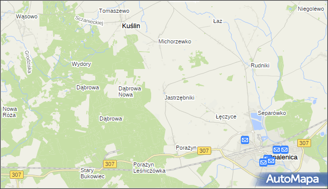 mapa Jastrzębniki gmina Opalenica, Jastrzębniki gmina Opalenica na mapie Targeo