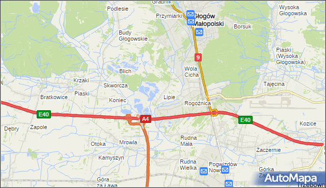 mapa Lipie gmina Głogów Małopolski, Lipie gmina Głogów Małopolski na mapie Targeo