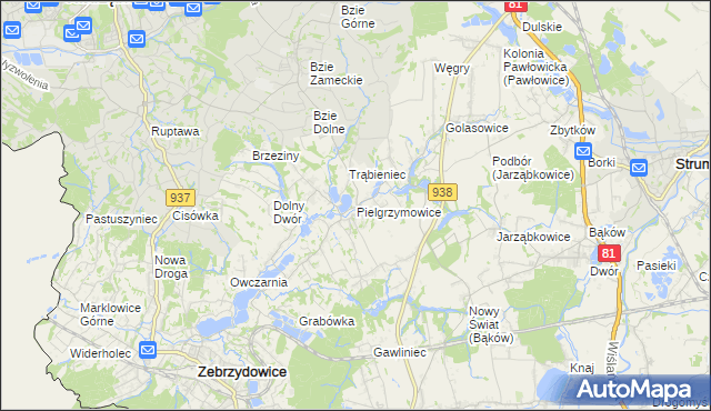 mapa Pielgrzymowice gmina Pawłowice, Pielgrzymowice gmina Pawłowice na mapie Targeo