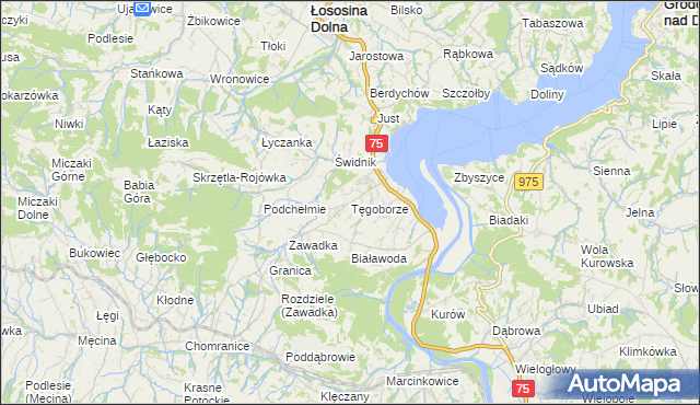 mapa Tęgoborze, Tęgoborze na mapie Targeo