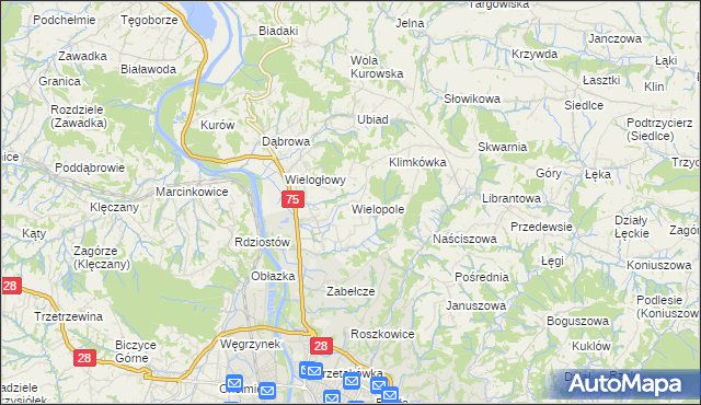 mapa Wielopole gmina Chełmiec, Wielopole gmina Chełmiec na mapie Targeo