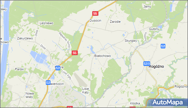 mapa Białochowo, Białochowo na mapie Targeo
