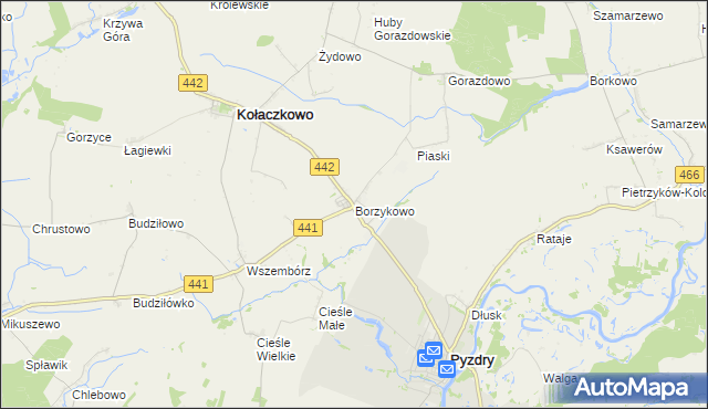 mapa Borzykowo gmina Kołaczkowo, Borzykowo gmina Kołaczkowo na mapie Targeo