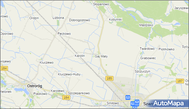 mapa Gaj Mały gmina Obrzycko, Gaj Mały gmina Obrzycko na mapie Targeo