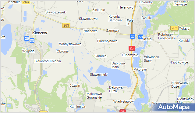 mapa Goraninek gmina Ślesin, Goraninek gmina Ślesin na mapie Targeo