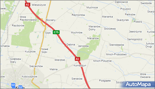 mapa Janiszew gmina Strzelce, Janiszew gmina Strzelce na mapie Targeo