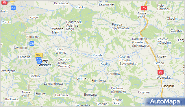 mapa Kobyle gmina Nowy Wiśnicz, Kobyle gmina Nowy Wiśnicz na mapie Targeo