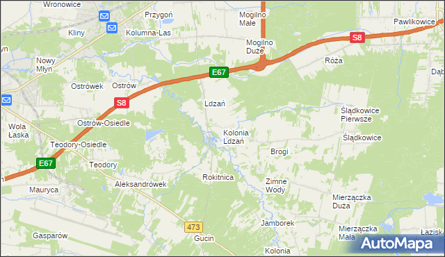 mapa Kolonia Ldzań, Kolonia Ldzań na mapie Targeo