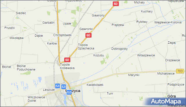 mapa Kozuby gmina Łęczyca, Kozuby gmina Łęczyca na mapie Targeo