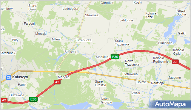mapa Sinołęka, Sinołęka na mapie Targeo