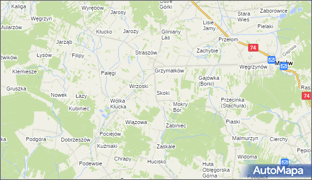 mapa Skoki gmina Mniów, Skoki gmina Mniów na mapie Targeo